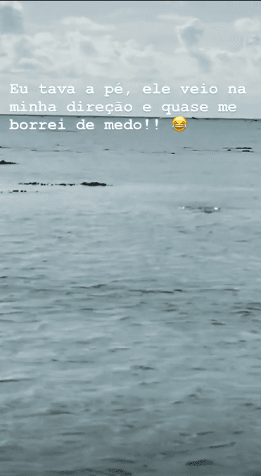 Imagem do post Imagem do post