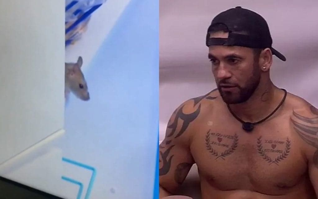 Rato do BBB20 ganha conta no Instagram e Hadson é ameaçado; entenda