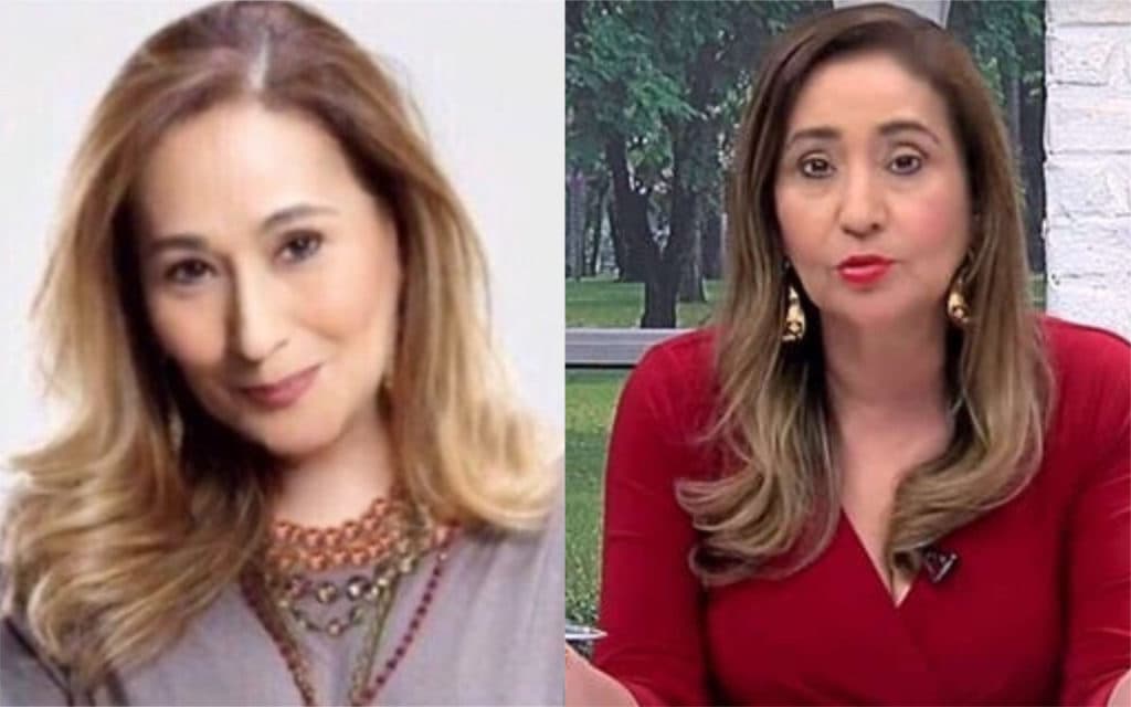 Escândalo! Sonia Abrão desmascara famosa, diz que vai processar e ela manda vídeo desesperador: "São uns babacas"