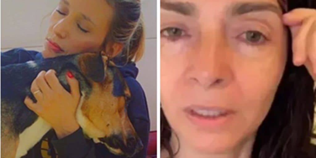 Luisa Mell faz relato, após Claudia Ohana fazer devolução de adoção de filhote: "Choram dia e noite sem parar"