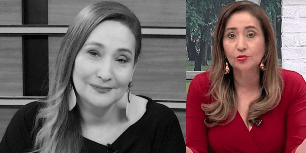 Sonia Abrão, após namoro sigiloso exposto e identidade chocante, faz publicação e acaba admitindo: "Eu estava doida"