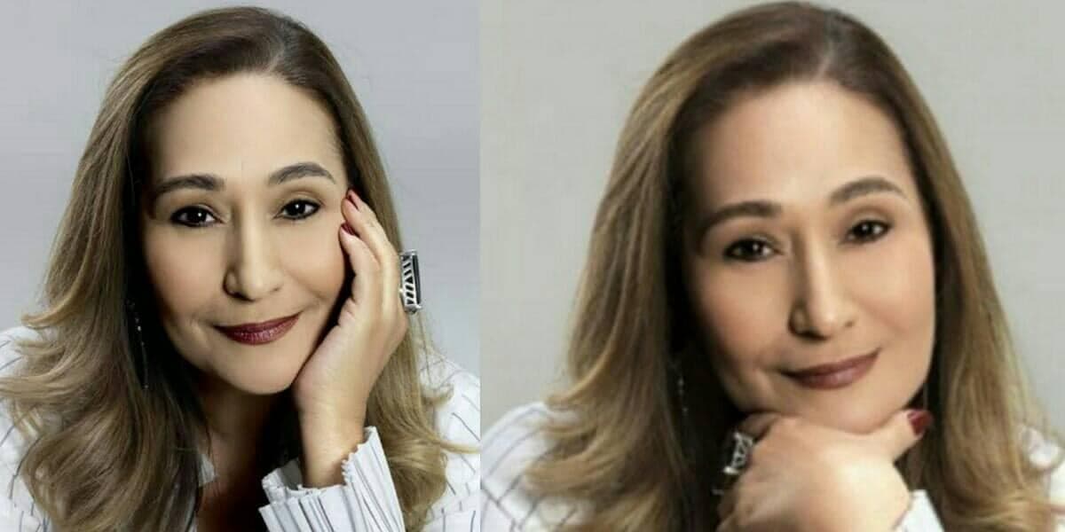 Sônia Abrão (Foto: Reprodução/Chico Audi)