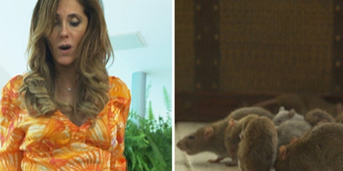 Tereza Cristina (Christiane Torloni) fica presa com ratos em Fina Estampa (Foto: Reprodução/Globo) Tereza Cristina (Christiane Torloni) fica presa com ratos em Fina Estampa (Foto: Reprodução/Globo)