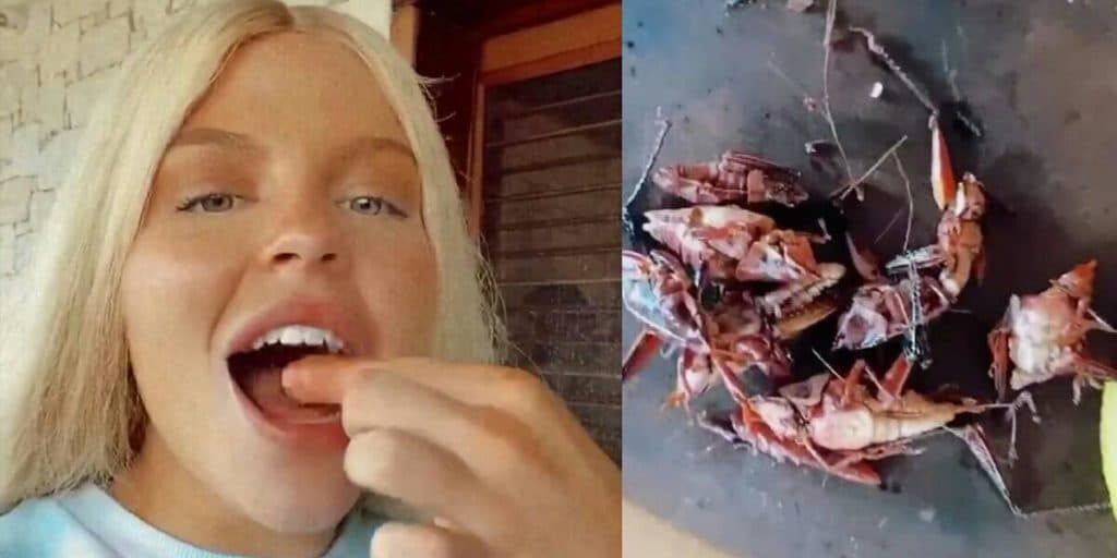 Luísa Sonza come grilos durante viagem ao México, filma tudo e dispara: "É gostosinho"