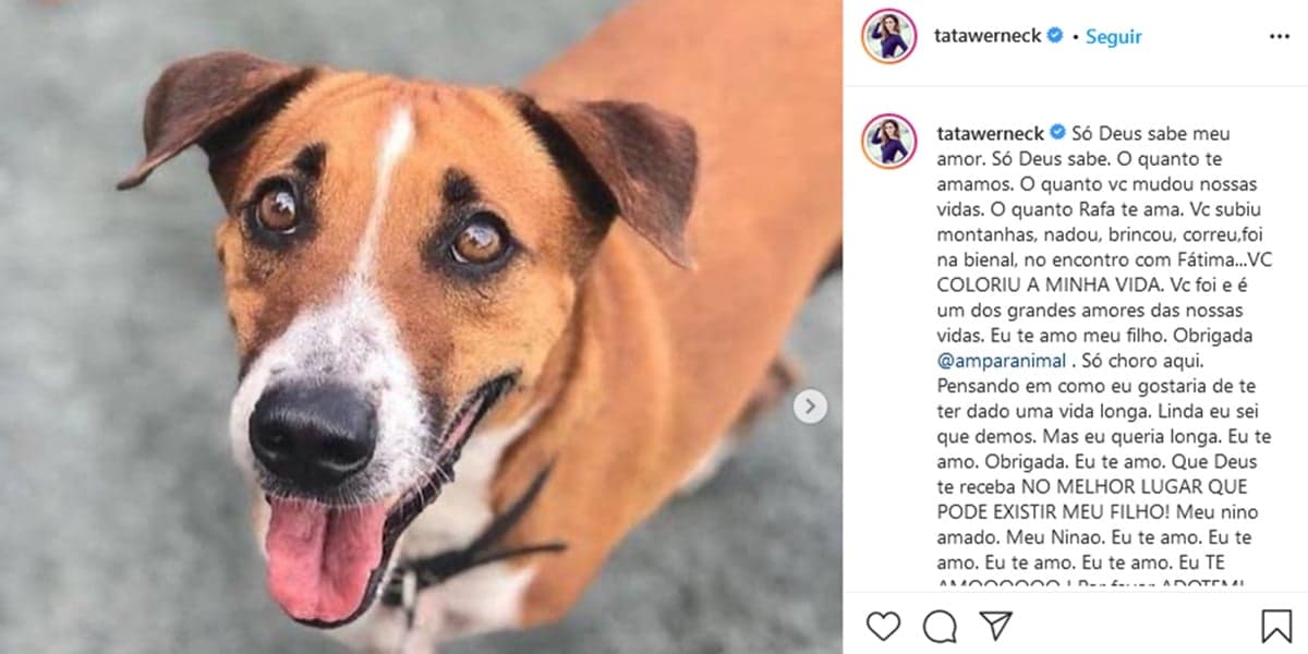 Publicação de Tatá Werneck lamentando a morte do seu cachorro (Foto: Reprodução)