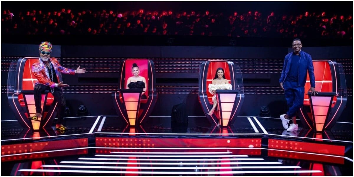 The Voice Kids na Globo - Foto: Reprodução The Voice Kids na Globo - Foto: Reprodução