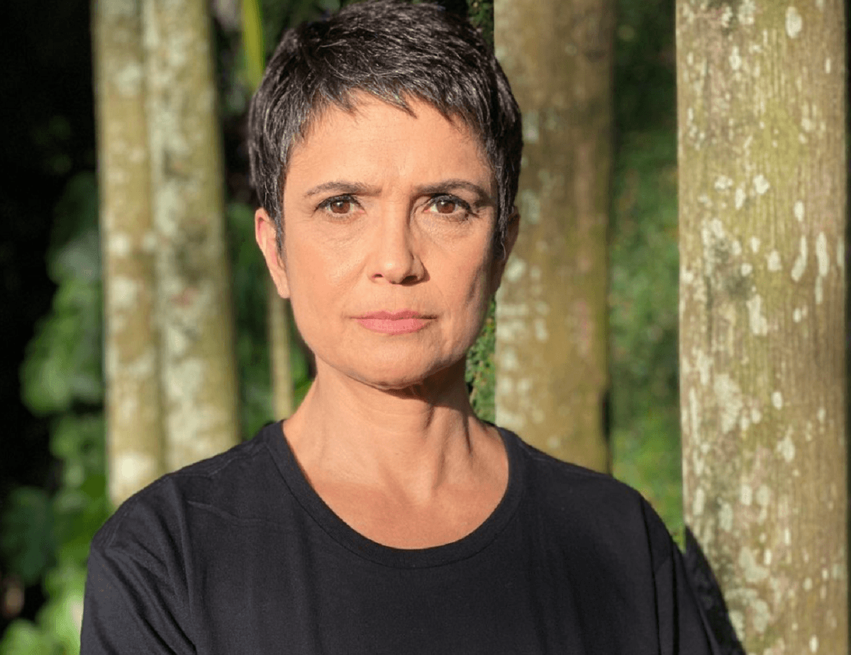 Sandra Annenberg (Foto: Divulgação) 