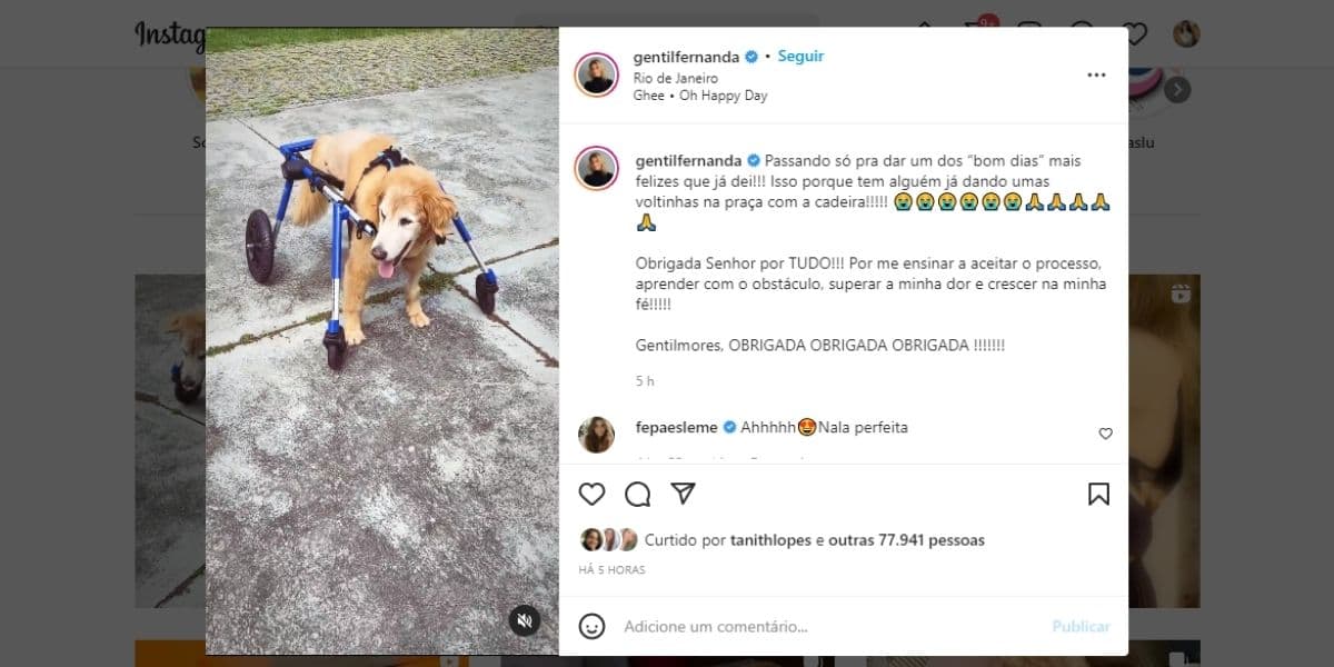 Fernanda Gentil chora ao ver parceira em cadeira de rodas e desabafa em textão: "A minha dor" Fernanda Gentil chora ao ver parceira em cadeira de rodas e desabafa em textão: "A minha dor"