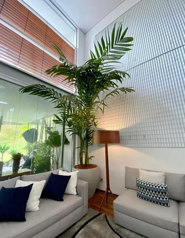 Árvore na sala de Luísa Sonza (Foto: Divulgação) Árvore na sala de Luísa Sonza (Foto: Divulgação)