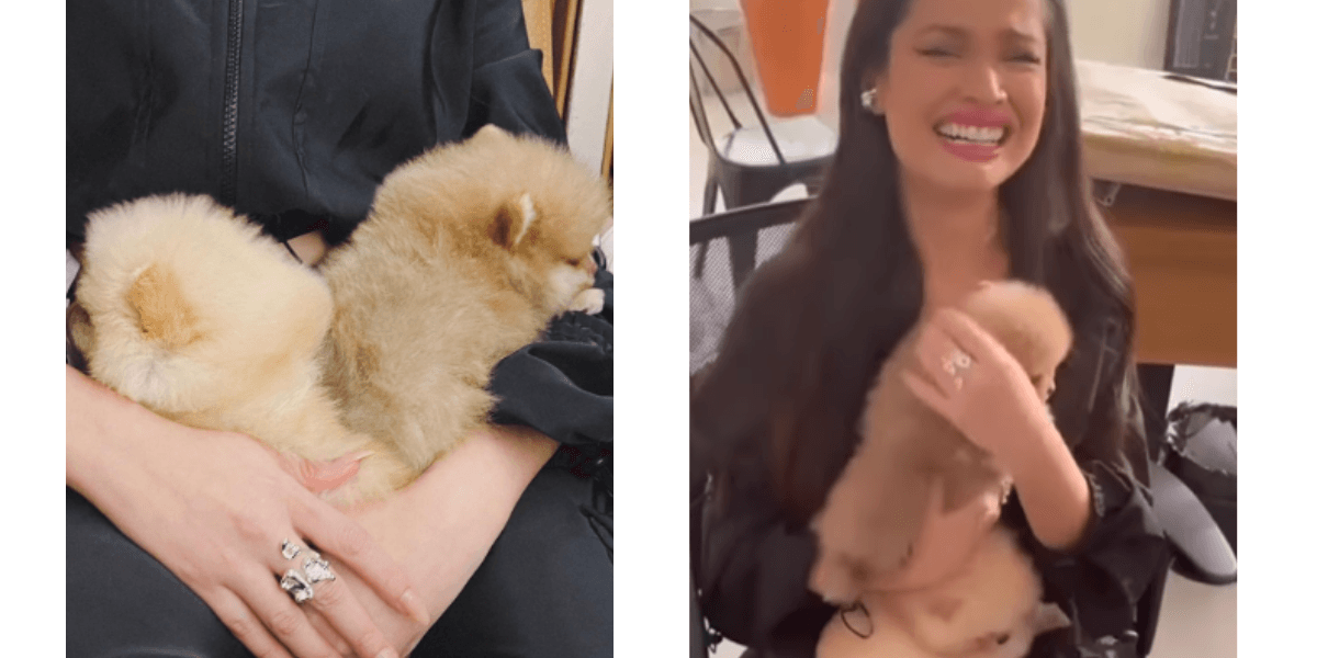 Juliette ganha cachorros de raça e é criticada por Luísa Mell (Foto: Reprodução)