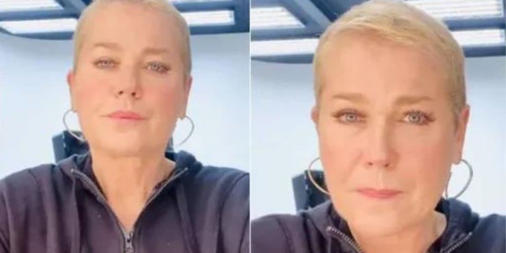 Revoltada e atacada por dar “casa” para cachorra, Xuxa expõe ter dado 52 mi para ajudar crianças: “Não vou admitir”