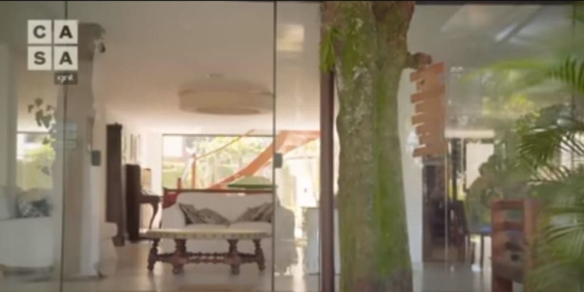 Manoel Soares mora em mansão no meio de ilha e árvore chama a atenção (Reprodução)