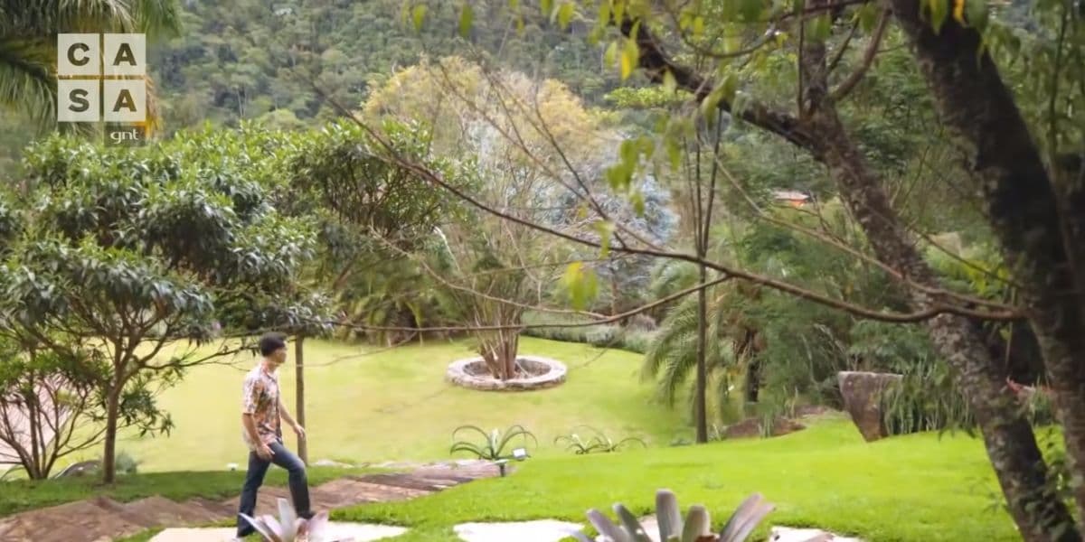 Ipê branco em homenagem ao pai de Carmo Dalla Vecchia (Reprodução) Ipê branco em homenagem ao pai de Carmo Dalla Vecchia (Reprodução)