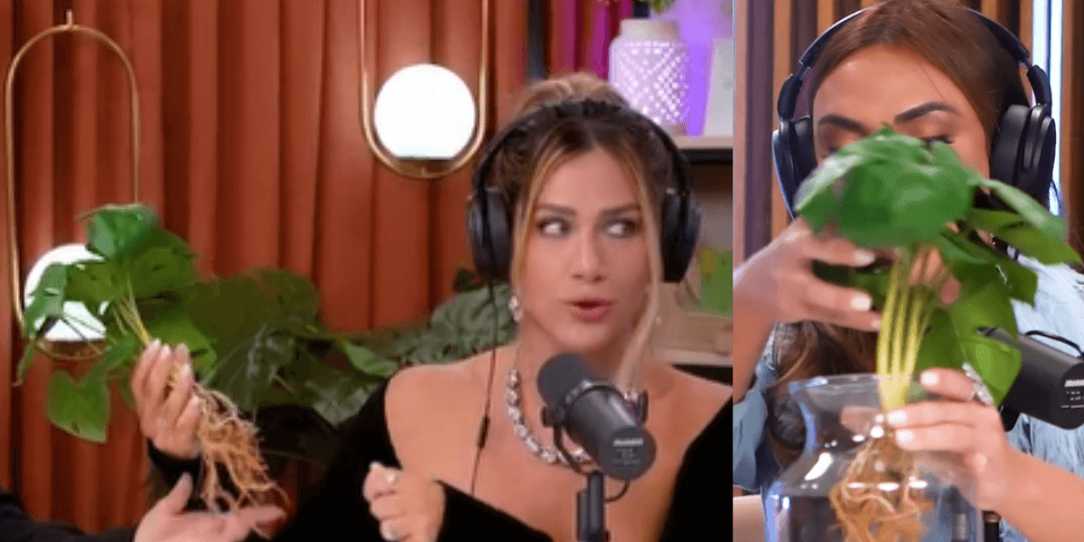 Imagem do post Imagem do post