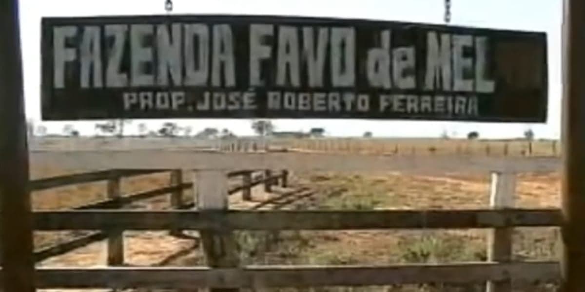 Imagem do post Imagem do post