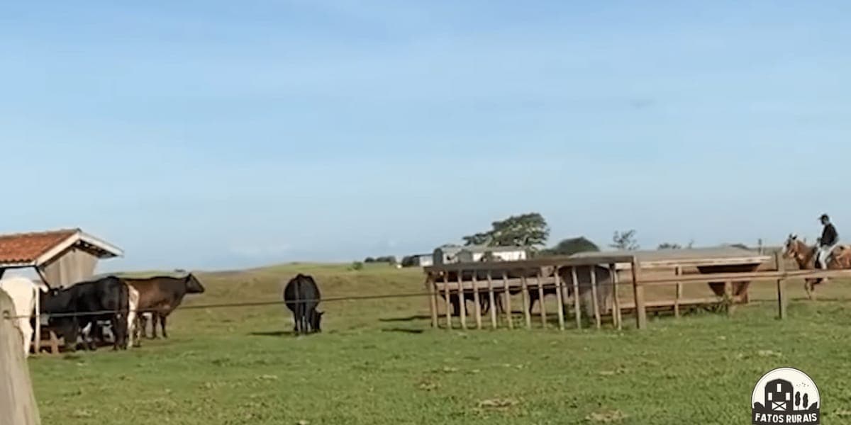 Fazenda Galvão Bueno (Reprodução: Youtube) Fazenda Galvão Bueno (Reprodução: Youtube)