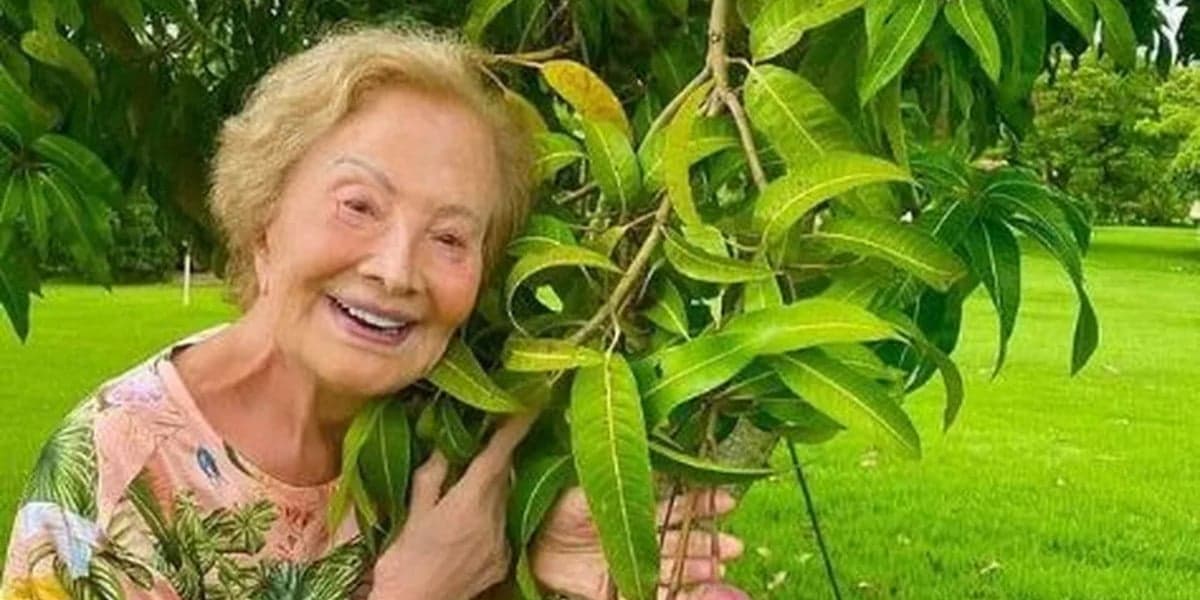 http://tvfoco.uai.com.br/wp-content/uploads/2015/05/Daniela-Mercury.jpg http://tvfoco.uai.com.br/wp-content/uploads/2015/05/Daniela-Mercury.jpg