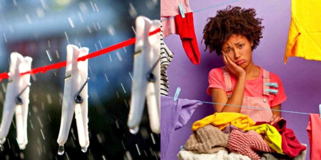 Fedendo a cachorro molhado? Isso que você deve fazer se suas roupas pegarem chuva no varal