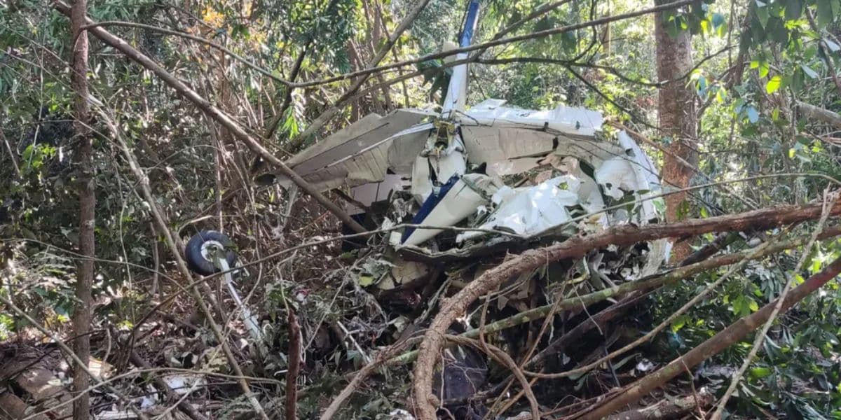 Avião que estava pai e filho foi encontrado no último domingo (30) (Reprodução: Internet) Avião que estava pai e filho foi encontrado no último domingo (30) (Reprodução: Internet)