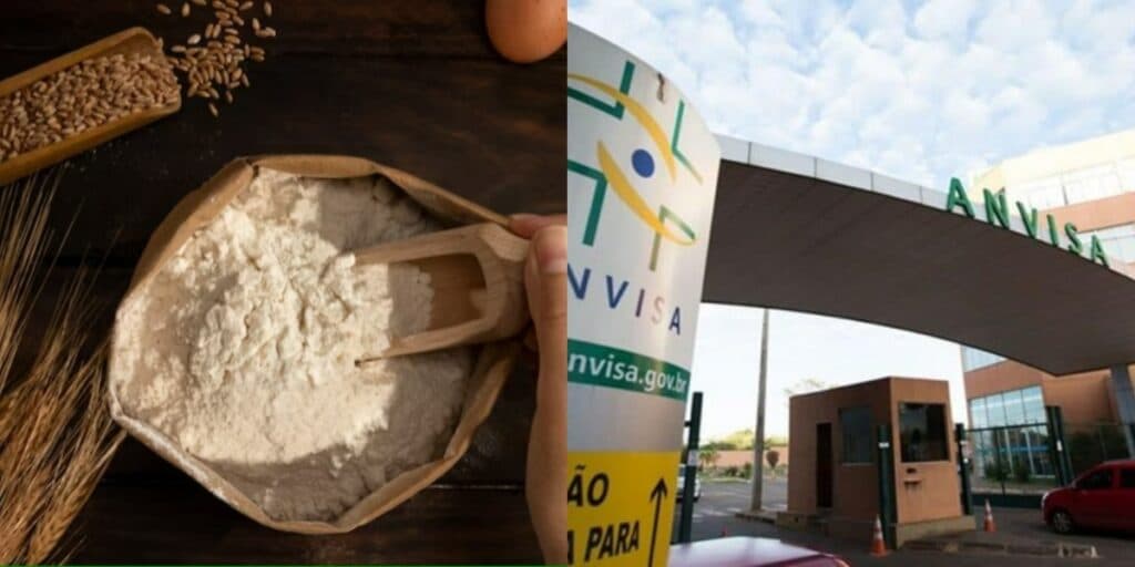 Fiscalização encontrou pelo de rato em farinha de trigo (Foto: Freepik/Ascom/Anvisa) Fiscalização encontrou pelo de rato em farinha de trigo (Foto: Freepik/Ascom/Anvisa)