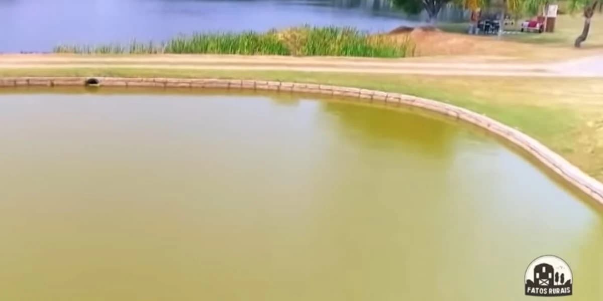 Chitãozinho Chitãozinho
