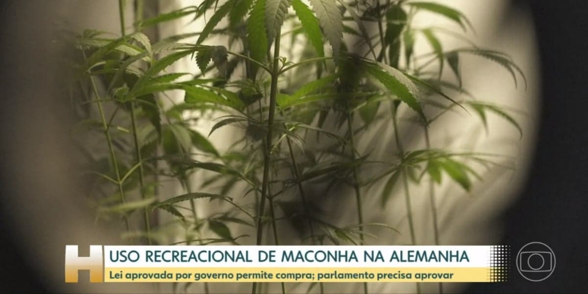 Alemanha aprovou uso recreativo da maconha (Foto: Reprodução/TV Globo)