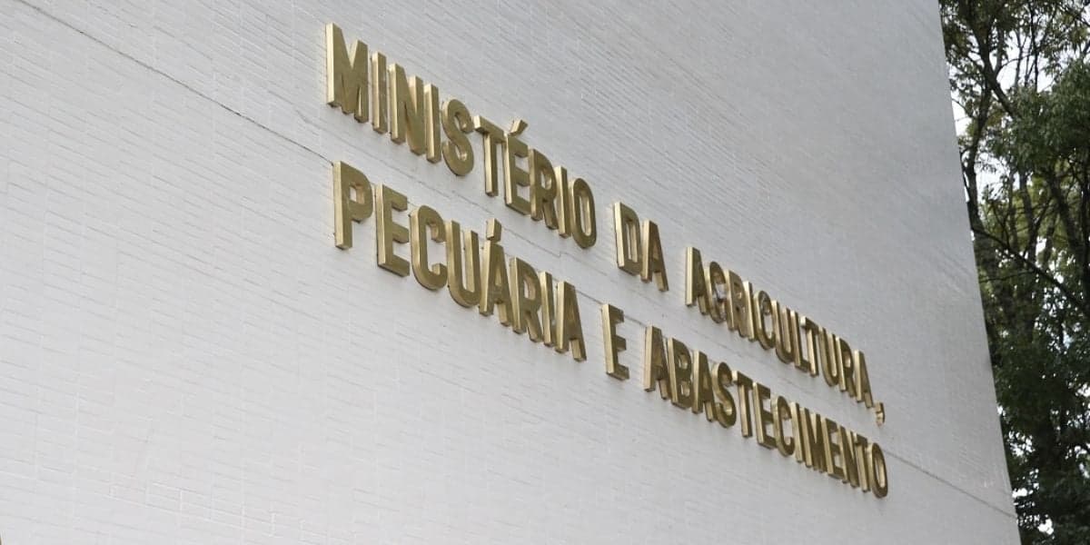 http://tvfoco.uai.com.br/wp-content/uploads/2015/05/Daniela-Mercury.jpg http://tvfoco.uai.com.br/wp-content/uploads/2015/05/Daniela-Mercury.jpg