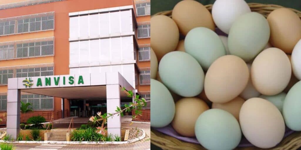 Risco à saúde e venda PROIBIDA pela ANVISA: A marca de ovos arrancada dos mercados e situação hoje (11)