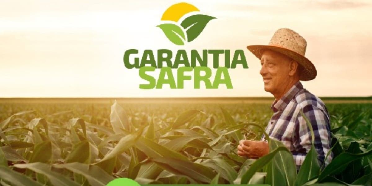 Garantia-Safra é uma ação do Governo Federal (Foto: Divulgação/Secretaria de Agricultura) Garantia-Safra é uma ação do Governo Federal (Foto: Divulgação/Secretaria de Agricultura)