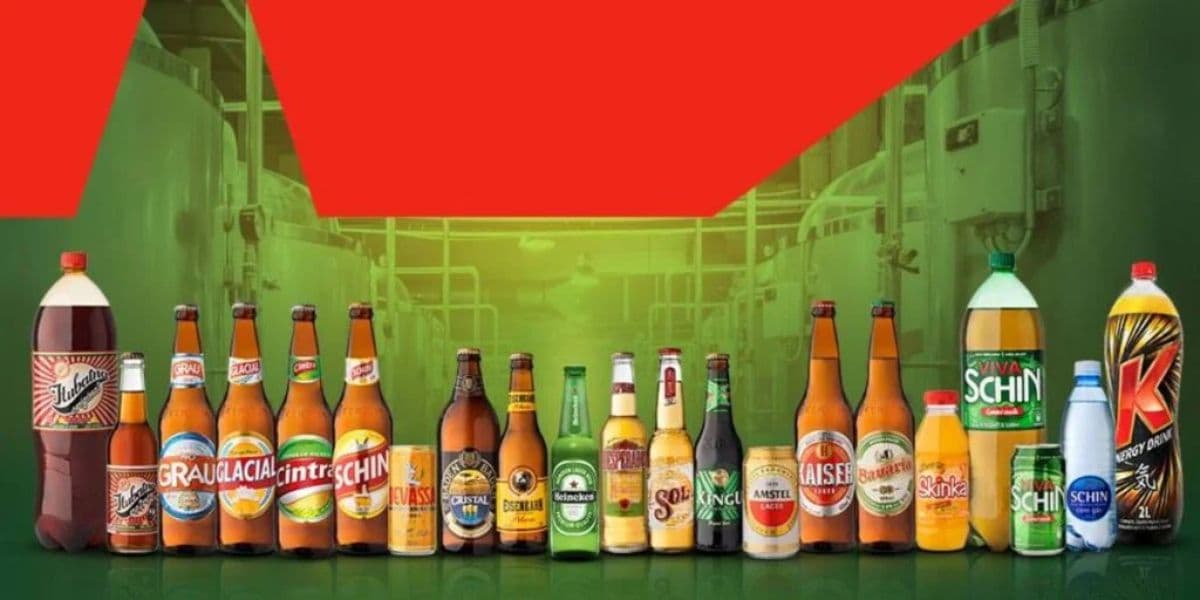 Todas as cervejas que a Heineken se tornou dona após comprar a Kirin Brasil (Reprodução: Internet) Todas as cervejas que a Heineken se tornou dona após comprar a Kirin Brasil (Reprodução: Internet)