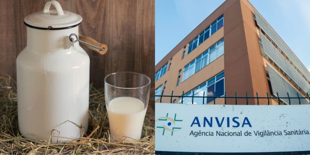 Grave erro e falta de higiene: A marca de leite arrancada dos supermercados pela Anvisa