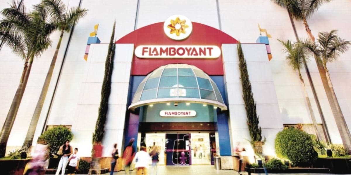 Flamboyant (Foto: Reprodução / Internet) Flamboyant (Foto: Reprodução / Internet)