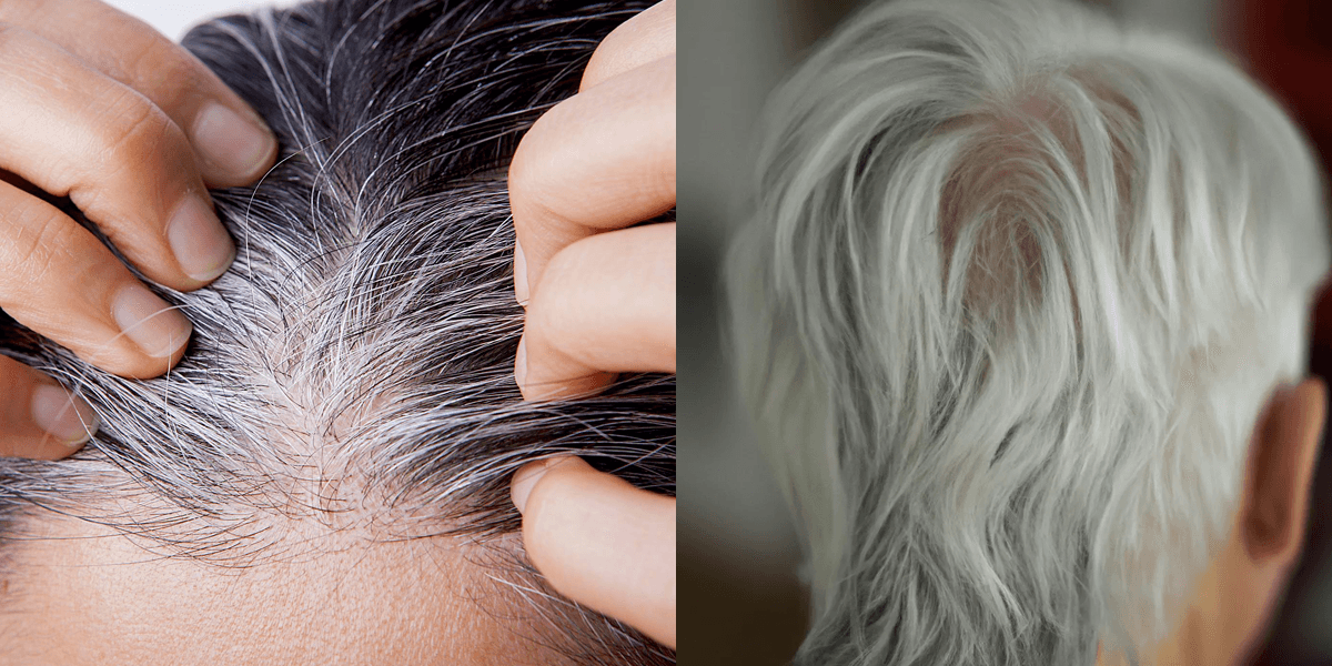 Cabelo branco (Foto: Reprodução, Salão Virtual)