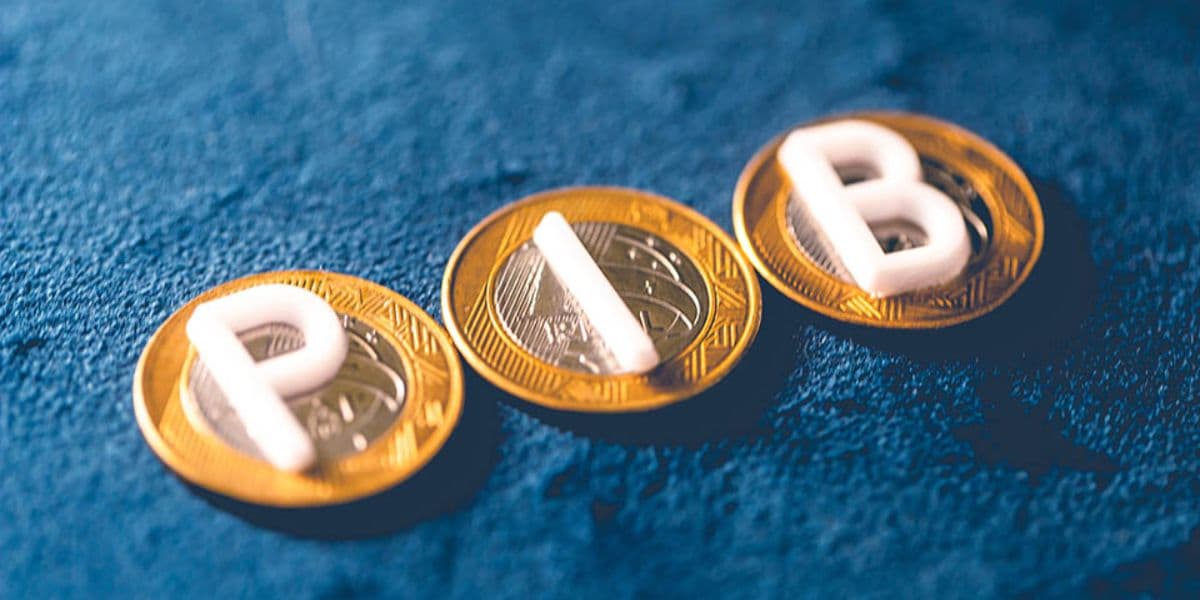 PIB vai fazer parte do aumento do salário mínimo (Reprodução: Internet) PIB vai fazer parte do aumento do salário mínimo (Reprodução: Internet)