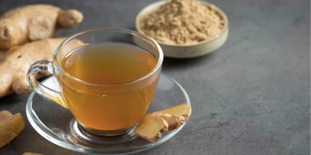 Chá de cúrcuma (Foto: Reprodução / Freepik) Chá de cúrcuma (Foto: Reprodução / Freepik)