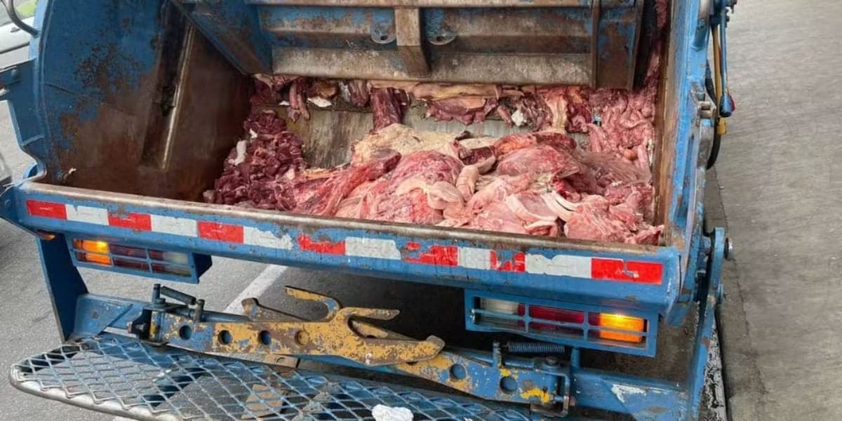Cerca de 10 toneladas de carnes foram descartadas (Reprodução: Polícia Civil) Cerca de 10 toneladas de carnes foram descartadas (Reprodução: Polícia Civil)