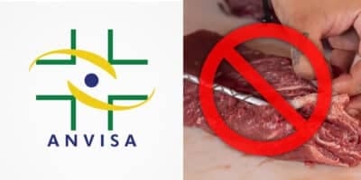 ANVISA - Carne (Foto: Reprodução, Montagem - TV Foco) ANVISA - Carne (Foto: Reprodução, Montagem - TV Foco)