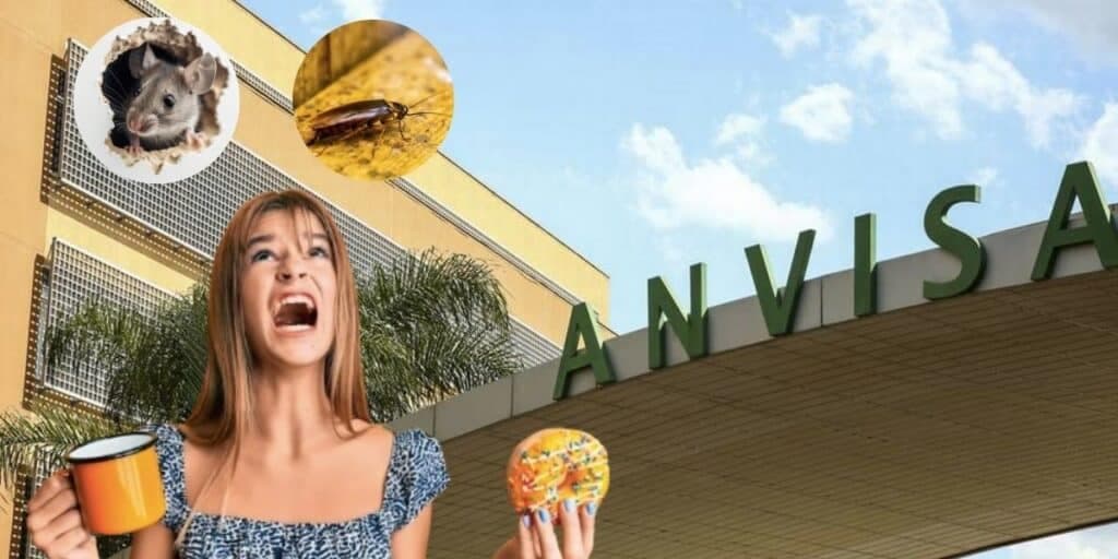 Presença de ratos e baratas: A interdição às pressas da ANVISA contra 2 estabelecimentos alimentícios