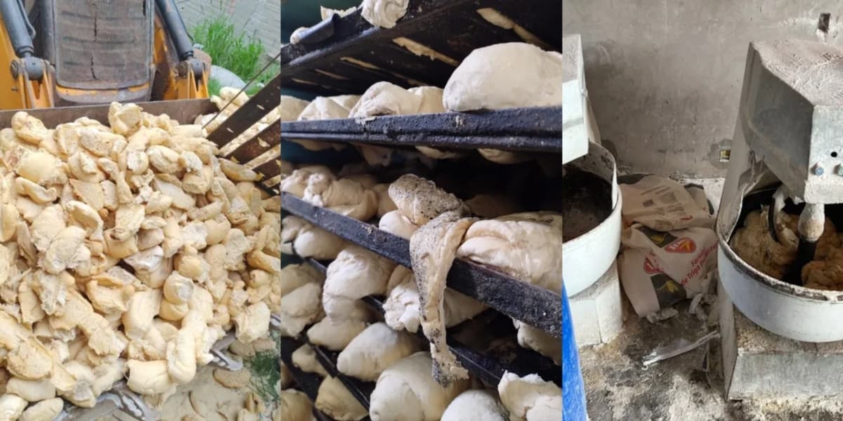 Fábrica de pão foi interditada por condições insalubres - Foto: Montagem Fábrica de pão foi interditada por condições insalubres - Foto: Montagem