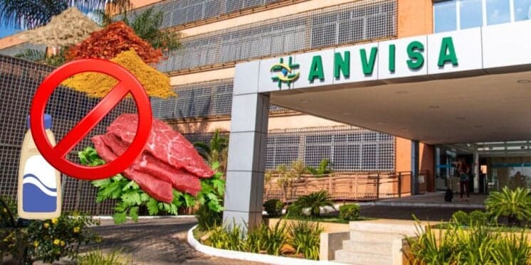 Diarreia, vômito e pele de rato: Anvisa decreta proibição e retirada de 3 marcas de tempero, carne e molho