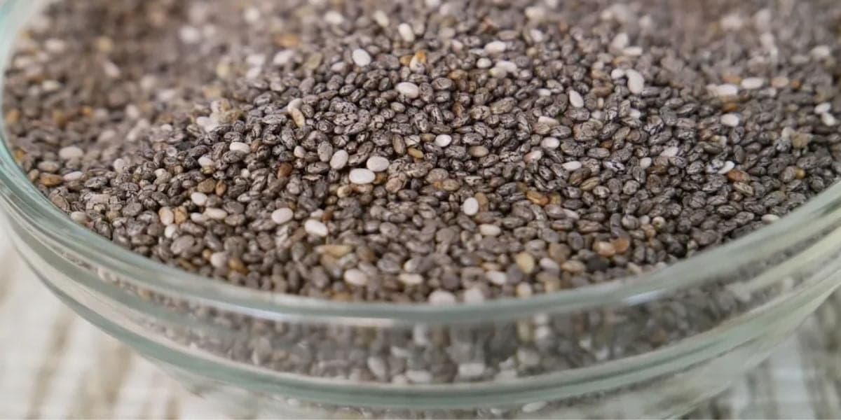 A semente de Chia é muito importante para o corpo humano (Reprodução/ Foto: UFV) A semente de Chia é muito importante para o corpo humano (Reprodução/ Foto: UFV)