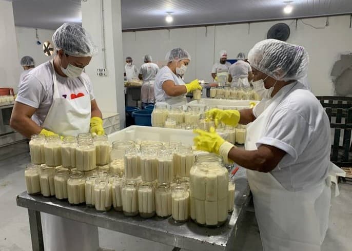 Fábrica Alteroza, produzindo o produto Palmito de Açaí em Conserva (Foto: Reprodução / SEDEME)
Fábrica Alteroza, produzindo o produto Palmito de Açaí em Conserva (Foto: Reprodução / SEDEME)