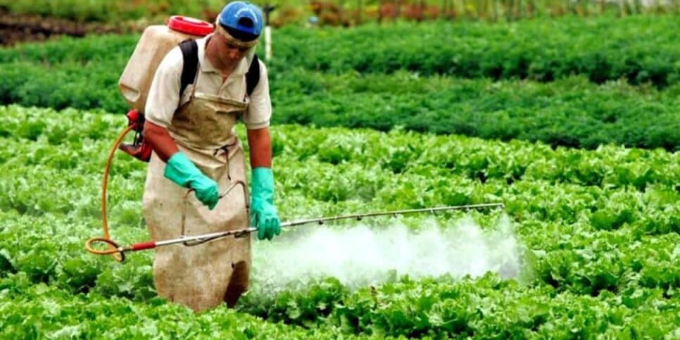 Pesticidas (Reprodução/Outras palavras) Pesticidas (Reprodução/Outras palavras)