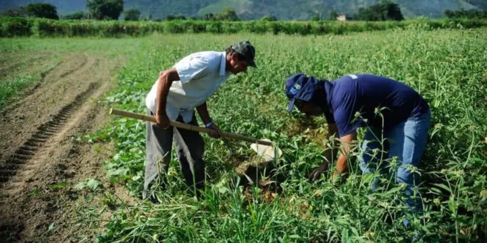 Aposentadoria rural não sofreu alterações com mudança na Reforma Previdenciária (Foto: Agência Brasil) Aposentadoria rural não sofreu alterações com mudança na Reforma Previdenciária (Foto: Agência Brasil)