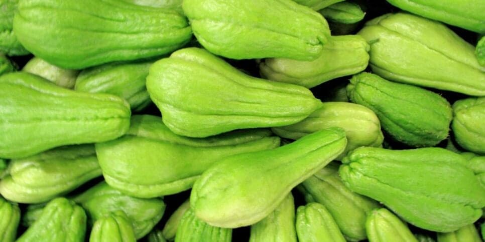 Chuchu é rico em diversas vitaminas que ajuda a acabar com a dor nas articulações (Reprodução: Internet)