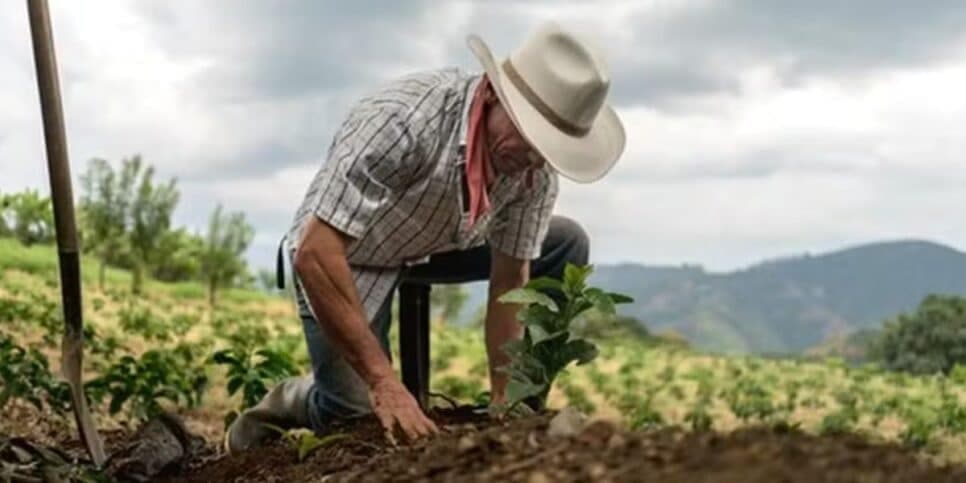Trabalhador Rural (Foto: Reprodução / Globo Rural) Trabalhador Rural (Foto: Reprodução / Globo Rural)