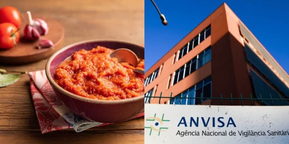 Venda proibida no Brasil e contaminação com pelo de rato: A proibição da Anvisa contra dois molhos de tomate