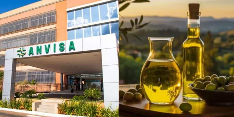 ALERTA: Anvisa proíbe 11 marcas de azeite que podem estar na sua casa