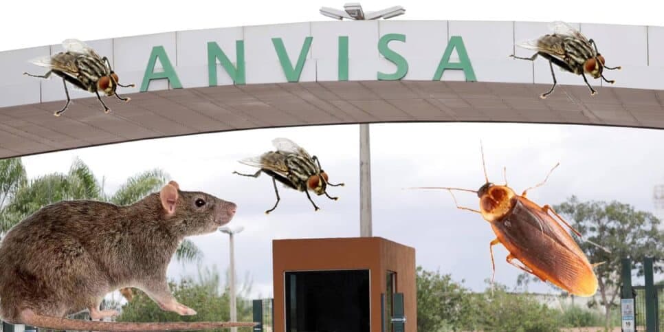ANVISA aceita e alimentos populares dos mercados chegam na sua casa dessa forma