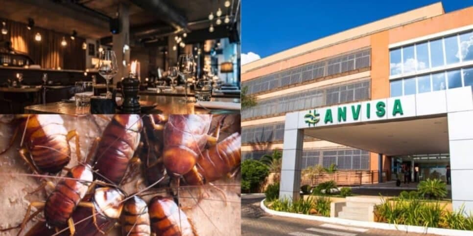 A proibição da Anvisa contra restaurante n°1 dos shoppings por nojeira